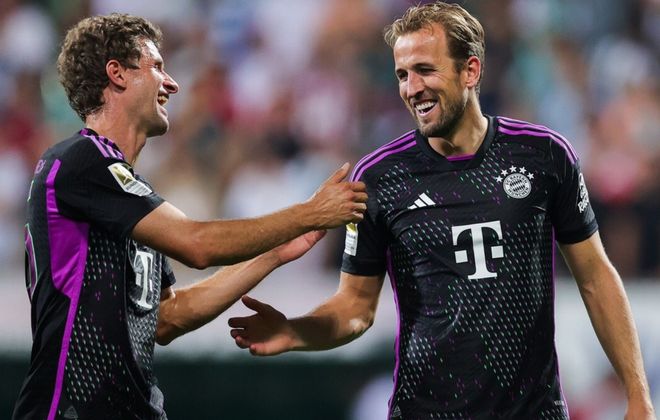 迷和股东的 迷和股东的