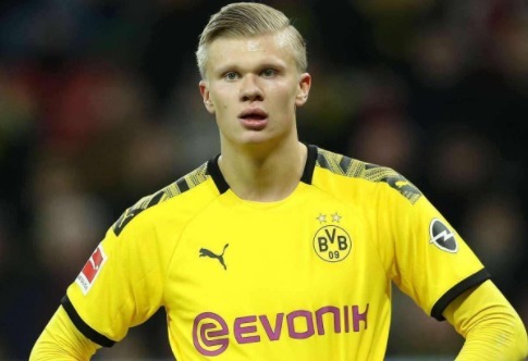 帮助你不踩 帮助你不踩